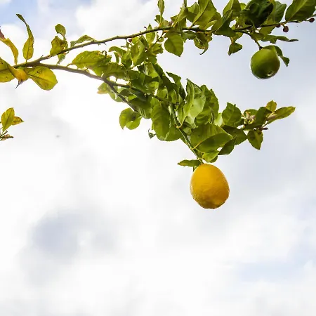 Casa Laranja, Aromas شقة