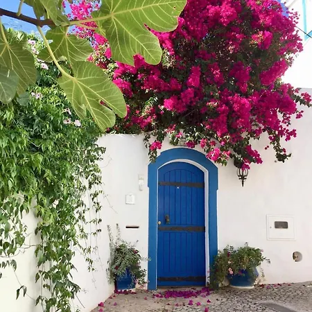 Casa Laranja, Aromas