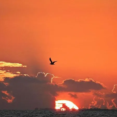 شقة Casa Laranja, Aromas بورغاو